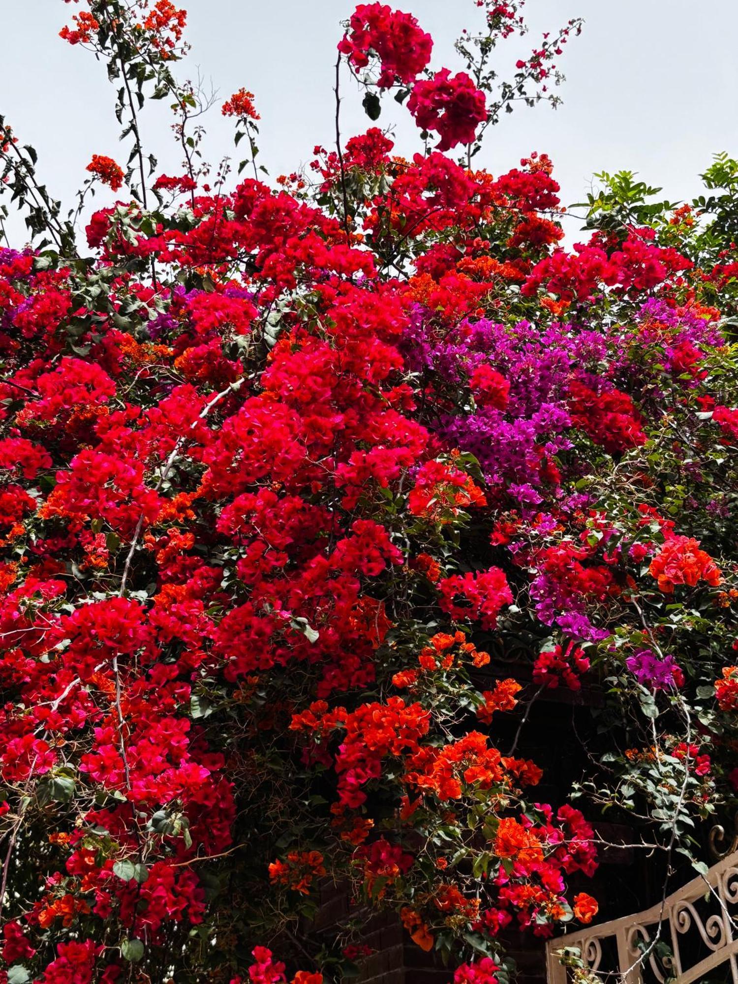 Riad La Cigale Marrakesh Luaran gambar